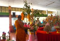 ทอดผ้าป่า-59