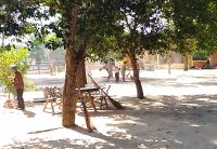 ทำความสะอาดวัด-2