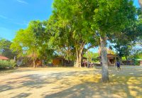 ทำความสะอาดวัด-8