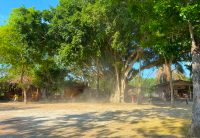 ทำความสะอาดวัด-9