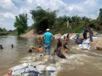 340158242_755647322924550_3746822352765159721_n